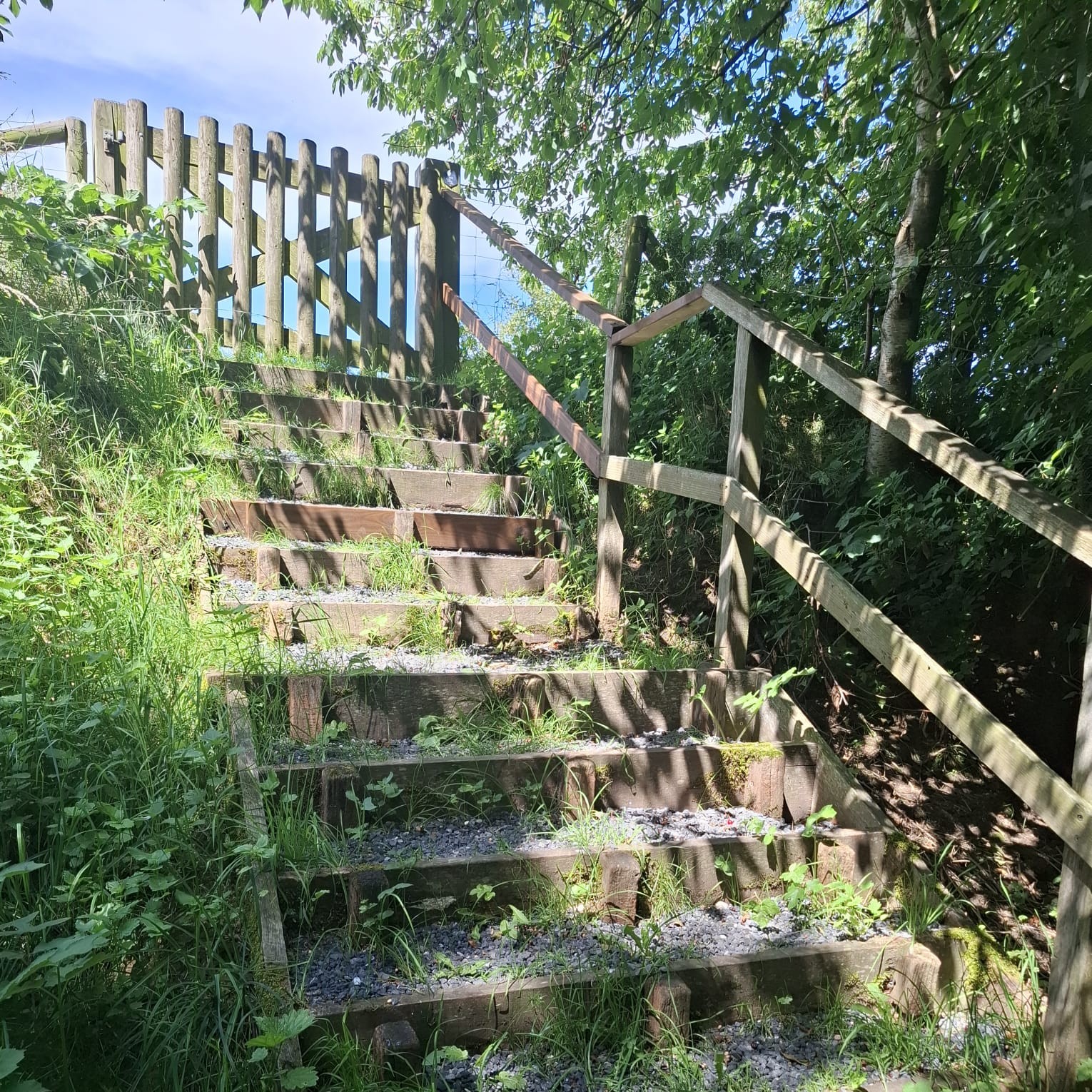 Herstelde trap in de holle weg in Jesseren