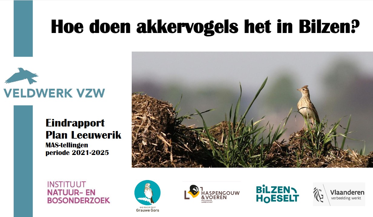 Plan Leeuwerik - 2021-2025 - presentatie